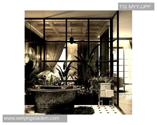 欧式家居风格：精致优雅与舒适生活的完美融合与设计理念解析