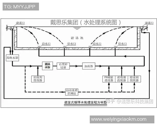泳池清洁与设备保养全攻略 提升水质与延长使用寿命的关键步骤