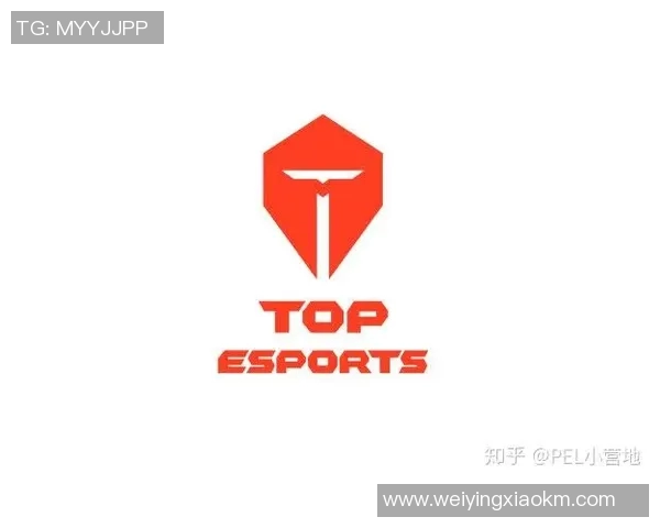 DOTA2专题分析：深入探讨TES战队当前状态与未来发展潜力